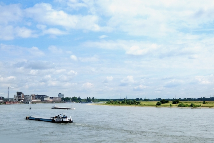 Rheinblick