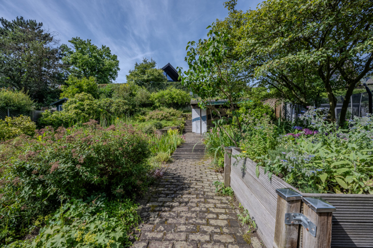Schön angelegter Garten