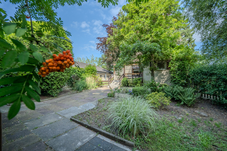 schön eingewachsener Garten