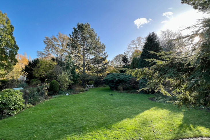 Traumhafter Garten