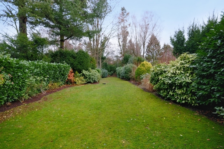 traumhaftes Gartengrundstück