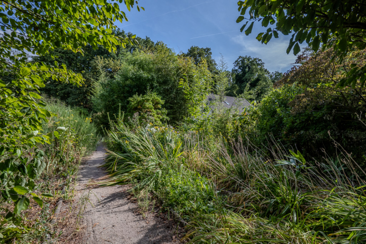 Weg in den Garten