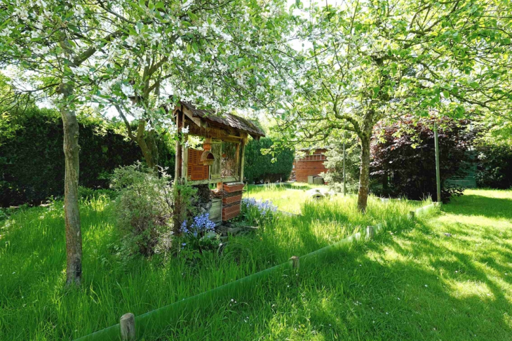 weiterer Bereich Gartengrundstück