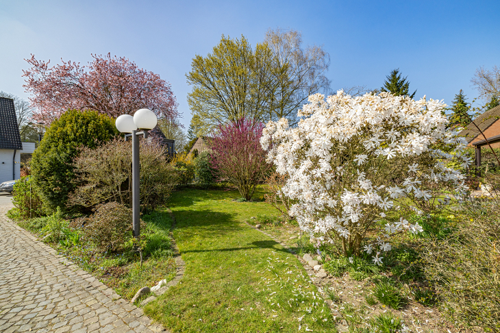Zufahrt u. Garten